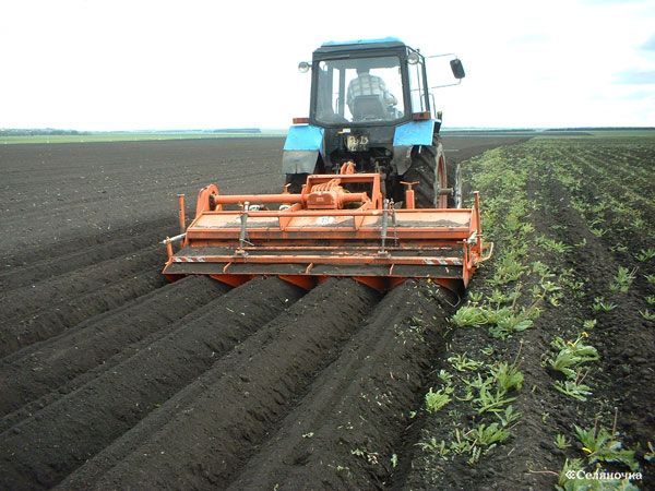 Правительство представило планы модернизации аграрной структуры в России