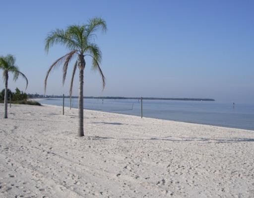 Apollo Beach Best Of South Shore Apollo Beach Best Of South Shore