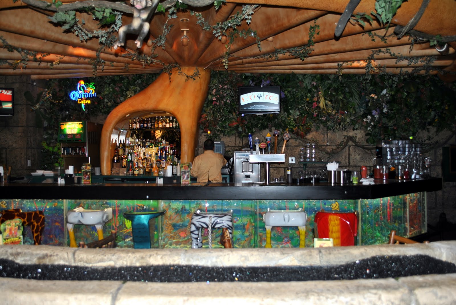 Treasured MOMents It's a Jungle inside... Rainforest Cafe