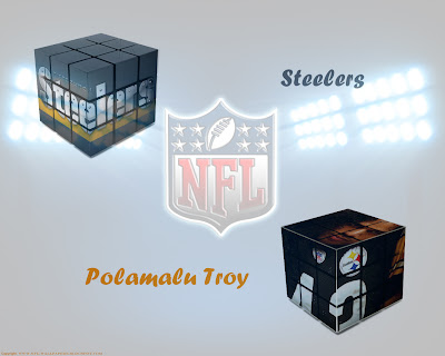 Polamalu Troy, Steelers