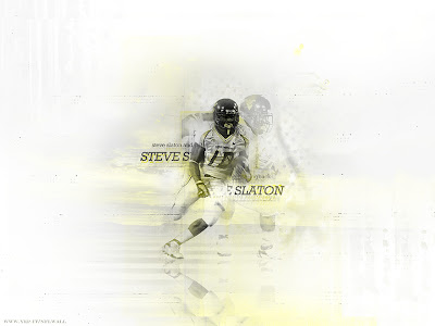 Slaton Steve wallpaper, Houston Texans wallpaper, nfl wallpaper