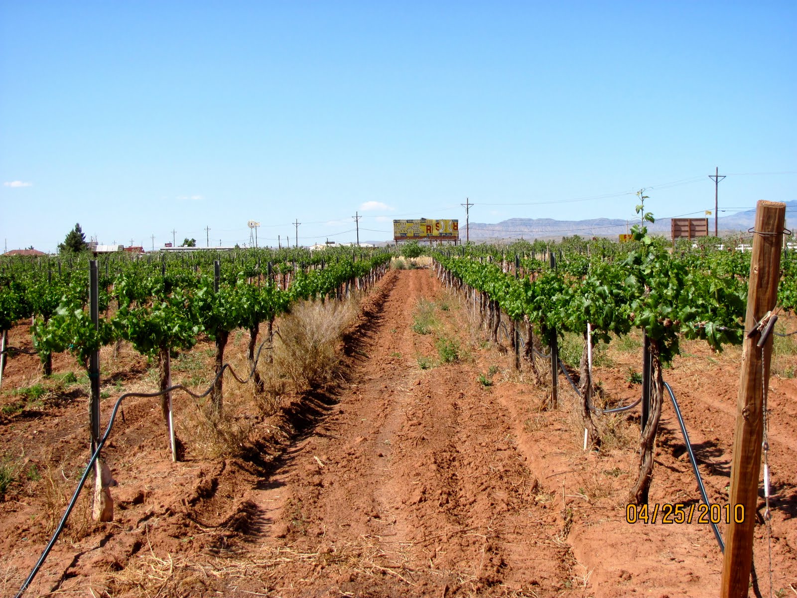 America by RV Ruidoso, NM, Inn of the Mountain Gods, McGinn's