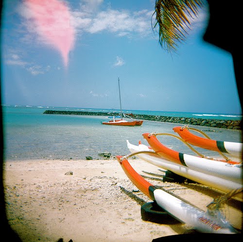 [2250607853_e988c3d600.jpg]