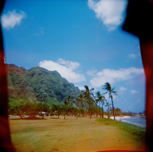 [2250608391_556a0c3e46.jpg]