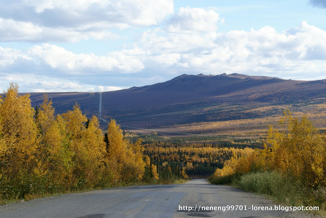 View of the road going up the hill and beautiful fall colors