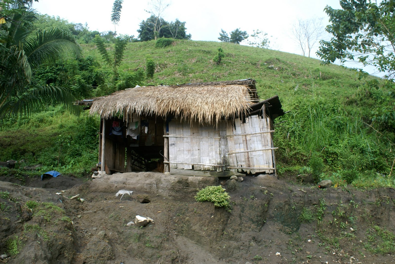 [thouse+1.JPG]