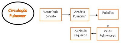 O Que E Grande Circulacao
