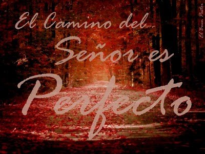 Resultado de imagen de el camino de dios es perfecto
