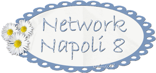 network napoli8