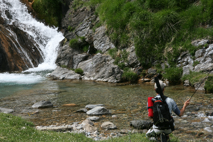 [IMG_4720.gif]