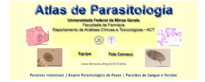 Parasitologia - Farmácia