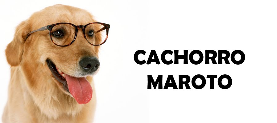 CACHORRO MAROTO