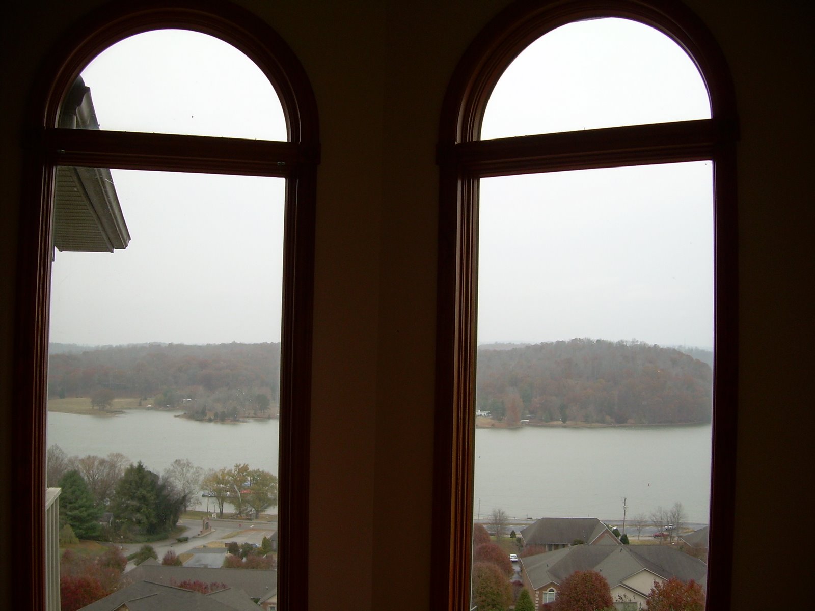 [Another+View+From+Study.JPG]
