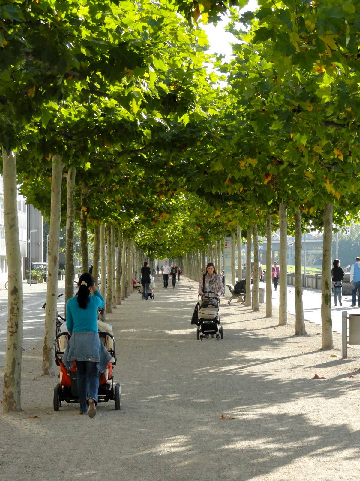 Travel On The Level Duesseldorf Germany