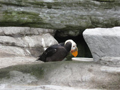 Oregon Coast Aquarium