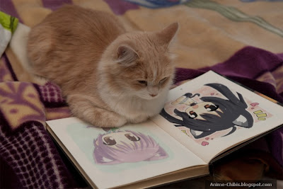 Anime Nekomimi Cat