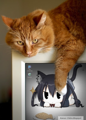 Anime Nekomimi Cat