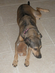 Riley and beheaded but beloved rabbit