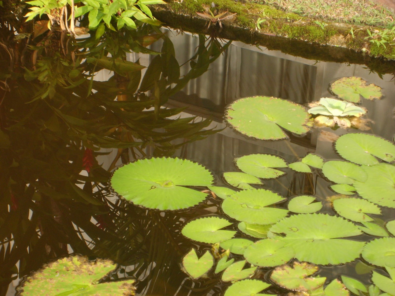 [36+Manaus+e+Boavista+003.jpg]