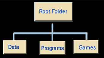 [root.JPG]