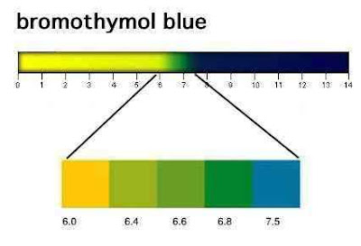 bromothymolbluechart.jpg