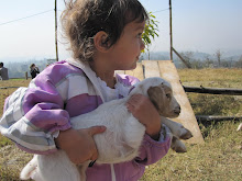 Anusha & Baby Sheep...It's Love!