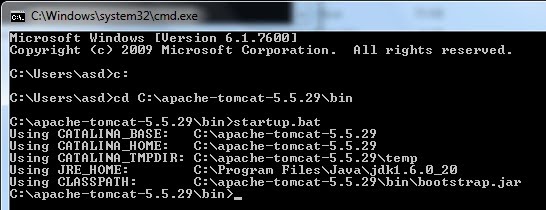Check with the apache tomcat