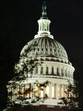 Capital In Washington DC