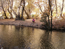 Madison Accross The Stream