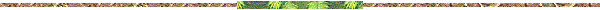 [separador.gif]