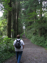 Avenue of the Cedars