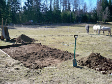 40 års present till maken