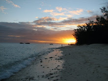 Heron Island