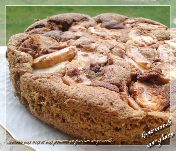 Get Gâteau Aux Pommes Sans Gluten Sans Lactose Pictures