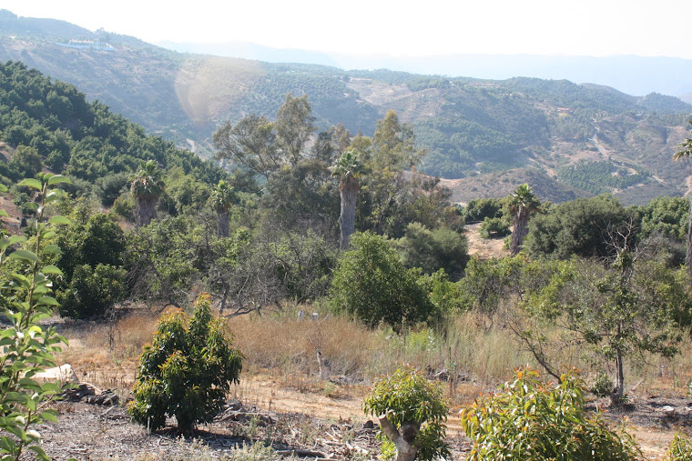 Valley Center