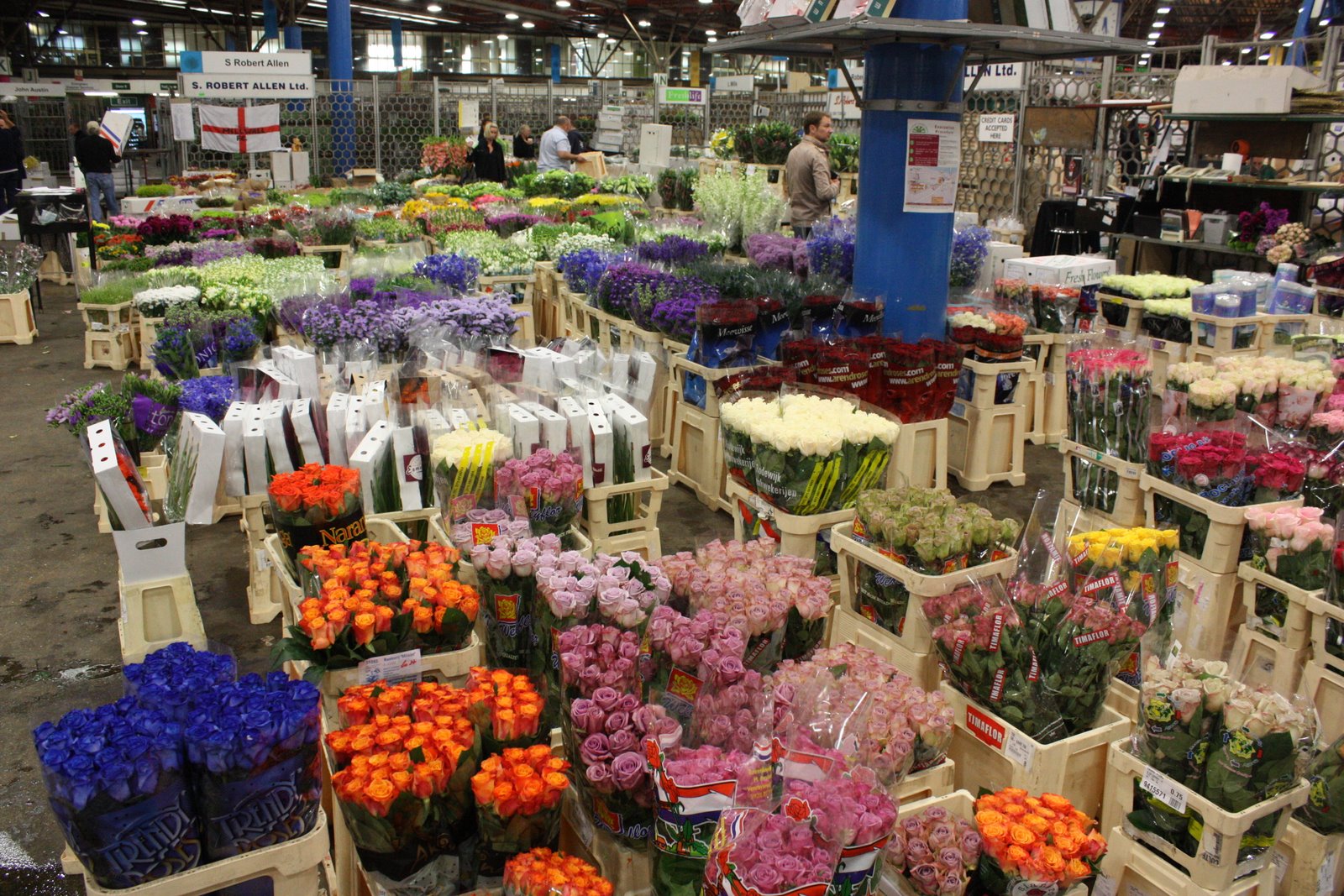 Everlasting Farm Covent Flower Market