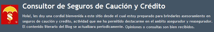 Consultor de Seguros de Caución y Crédito