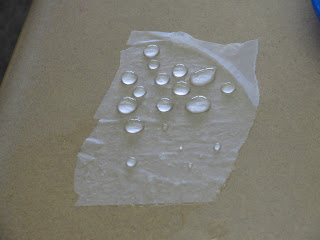 Miss Bong's Blog Spot: Water Experiments