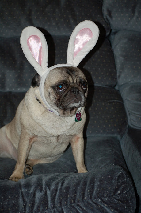math pug not so far out math february 2011 math pug not so far out math february 2011