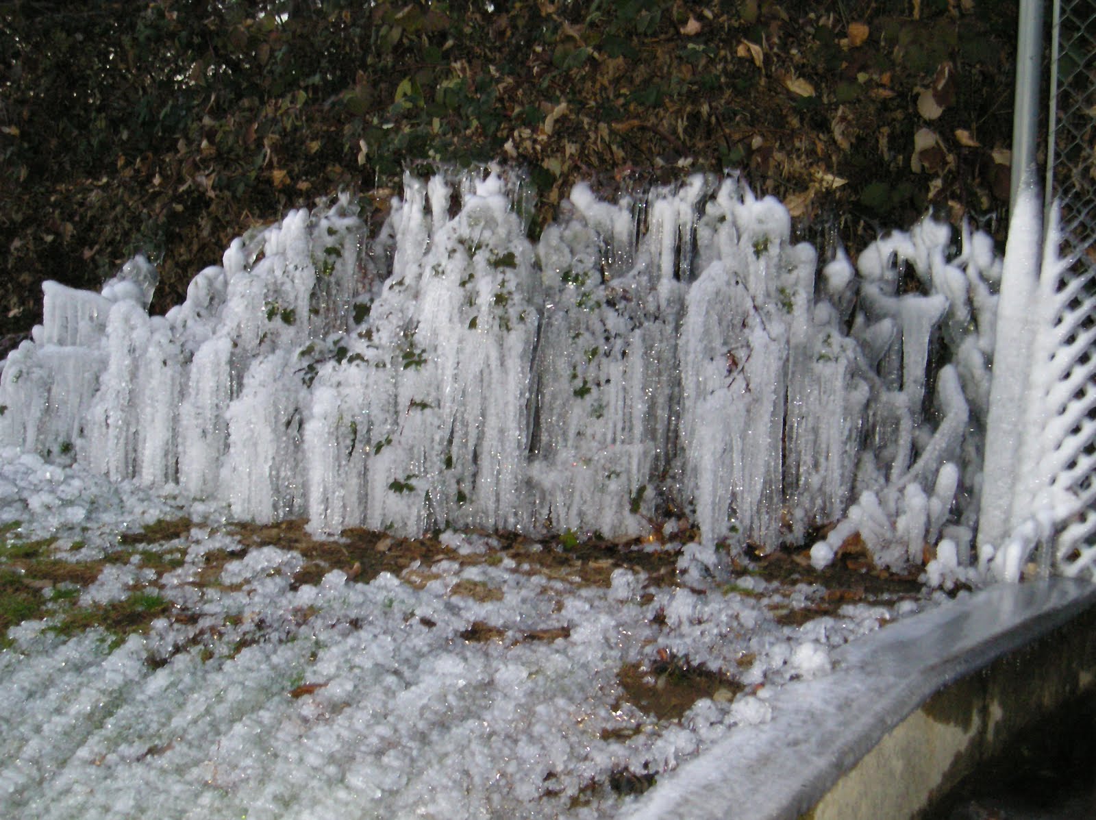 [P1010260.JPG]