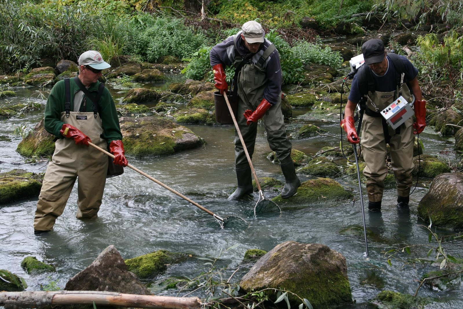 Schema elettrico elettrostorditore