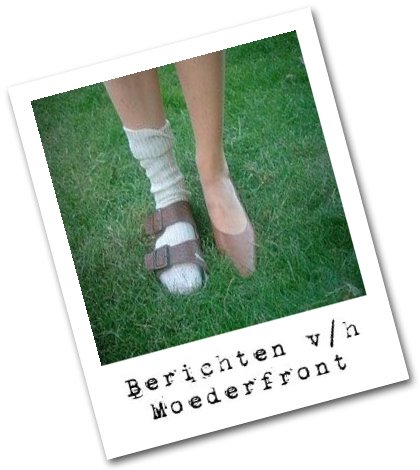 Berichten van het Moederfront