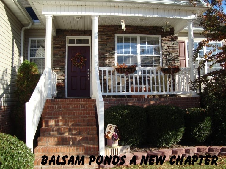 A New Chapter for Balsam Ponds