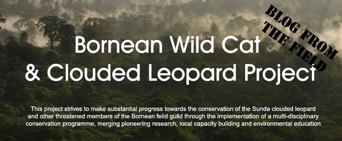 Bornean Wild Cat & Clouded Leopard Project