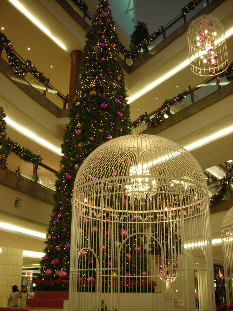 [DSCN4913a.JPG]