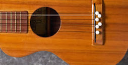 NOT a Guitar