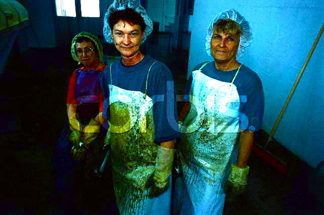 donne di fatica: roxy in grembiule di gomma 1