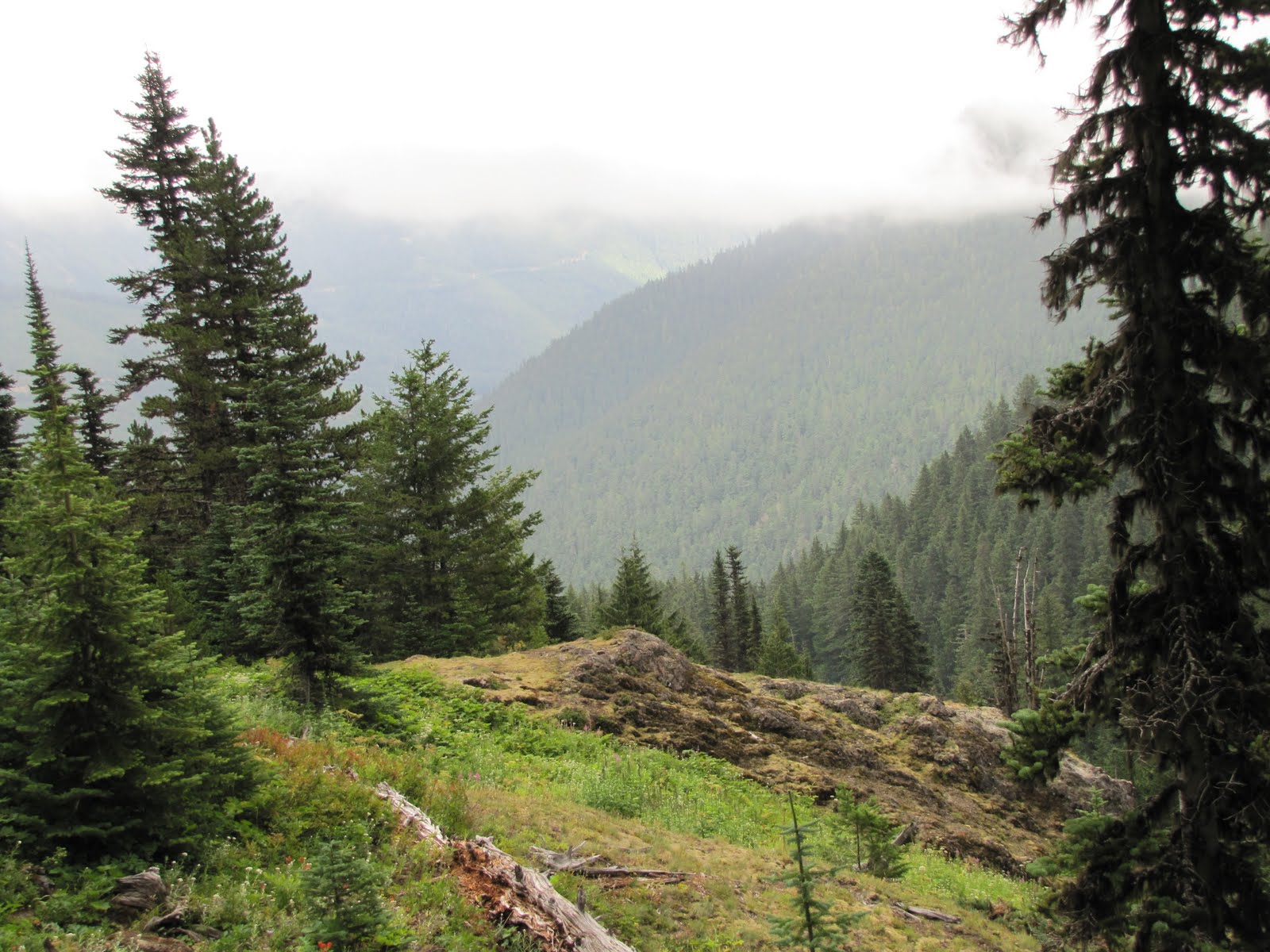 Flitzy Phoebie Testing Rain Gear on Mt Townsend