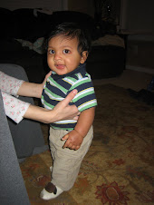 8 Months Old
