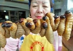 [bichoseda_thumb[6].jpg]